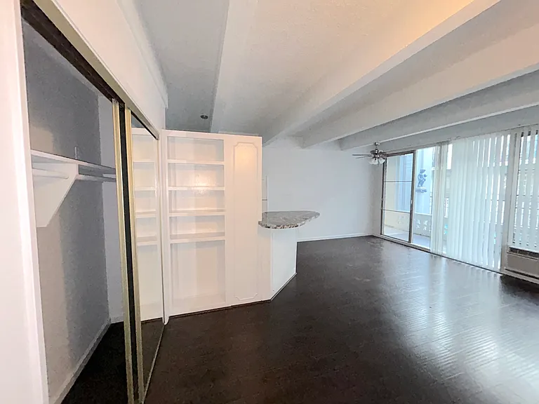 In addition to a walk in closet in the bedroom, you have an additional wide mirrored closet for extra storage.