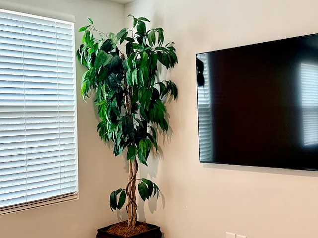 Master Bedroom Suite