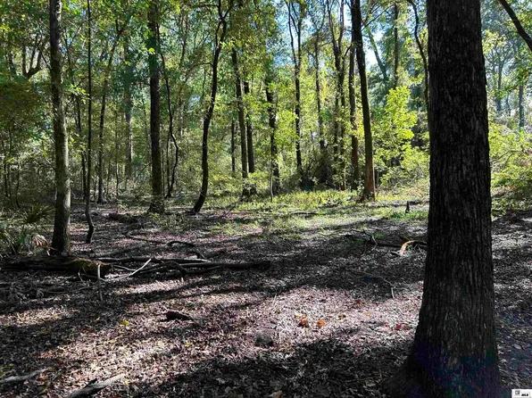 0 Sullivan Acres Rd, Columbia, LA 71418