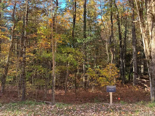 11 Norton Ridge Lane, Cashiers, NC 28717