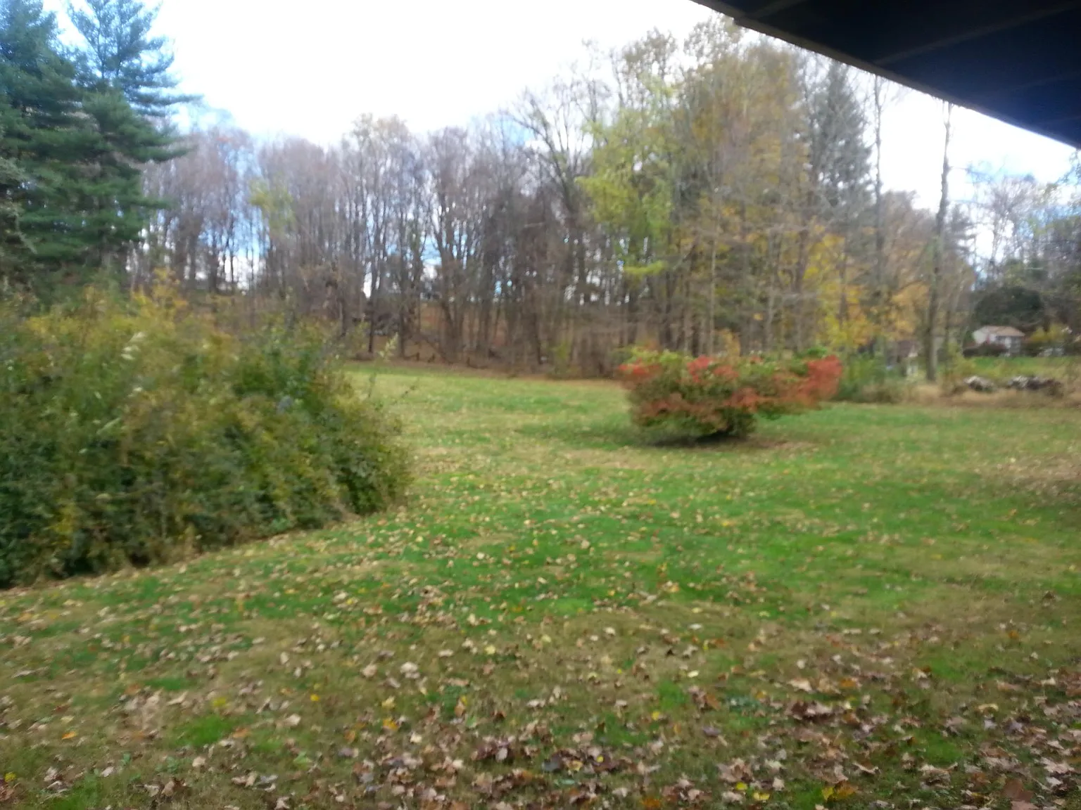 1 bed, 368 sqft, $1,800 — Photo 3