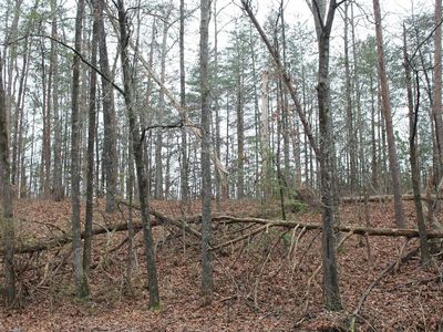 5796 Tyler Loop Rd #1, Pinson, AL, 35126
