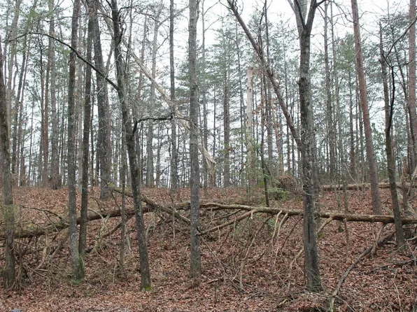 5796 Tyler Loop Rd #1, Pinson, AL 35126