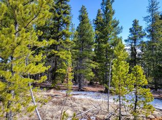 162 Thickspike Rd, Fairplay, CO 80440