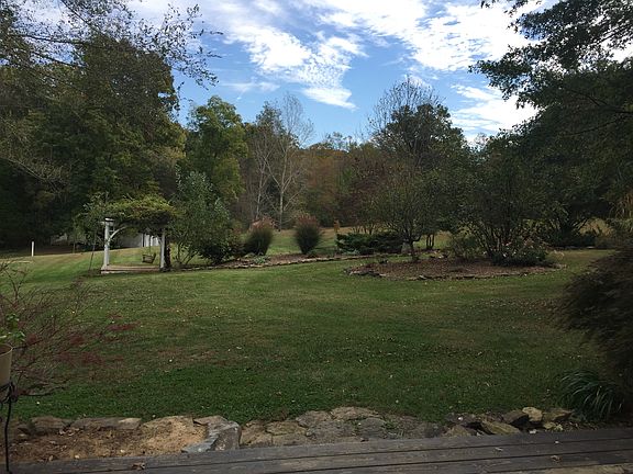 View of backyard from house