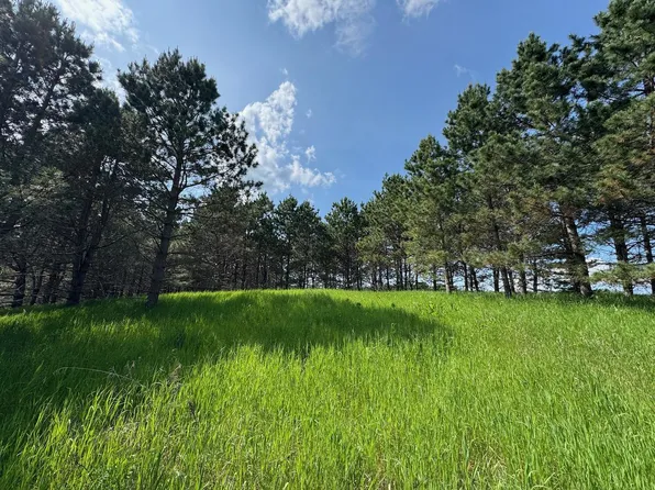 75A Hines Rd NE, Hines, MN 56647