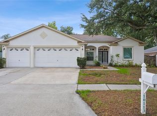 10113 Tantara Ct, Riverview, FL 33578