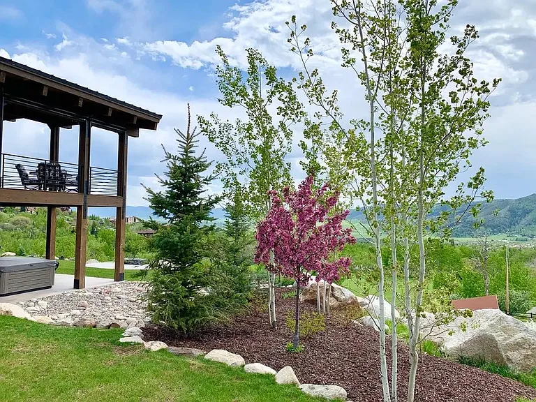 Landscaping in Summer