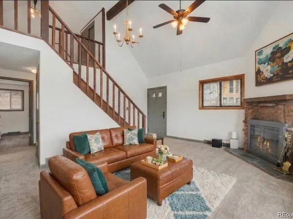 201 Silver Creek Road, Idaho Springs, CO 80452