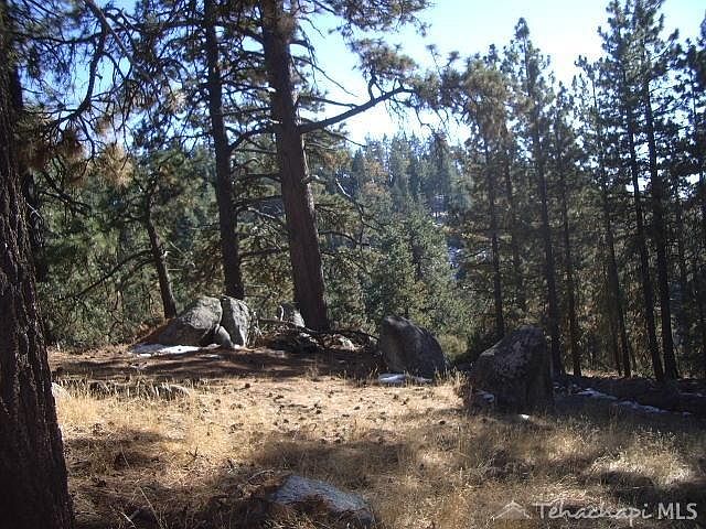 2nd image of 25841 Wilderness Way