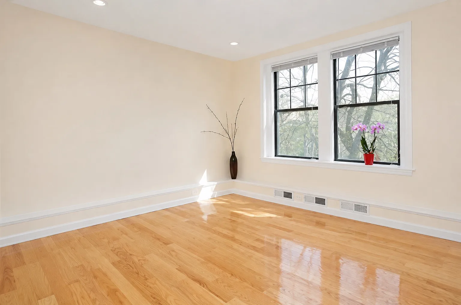 1 bed, $3,000 — Photo 1