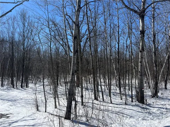 0 10th Avenue, Fall Creek, WI 54742
