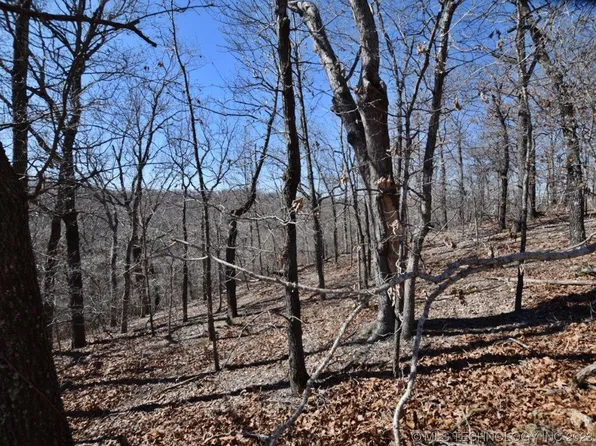 5401 Hilderbrand Ridge Rd, Proctor, OK 74457