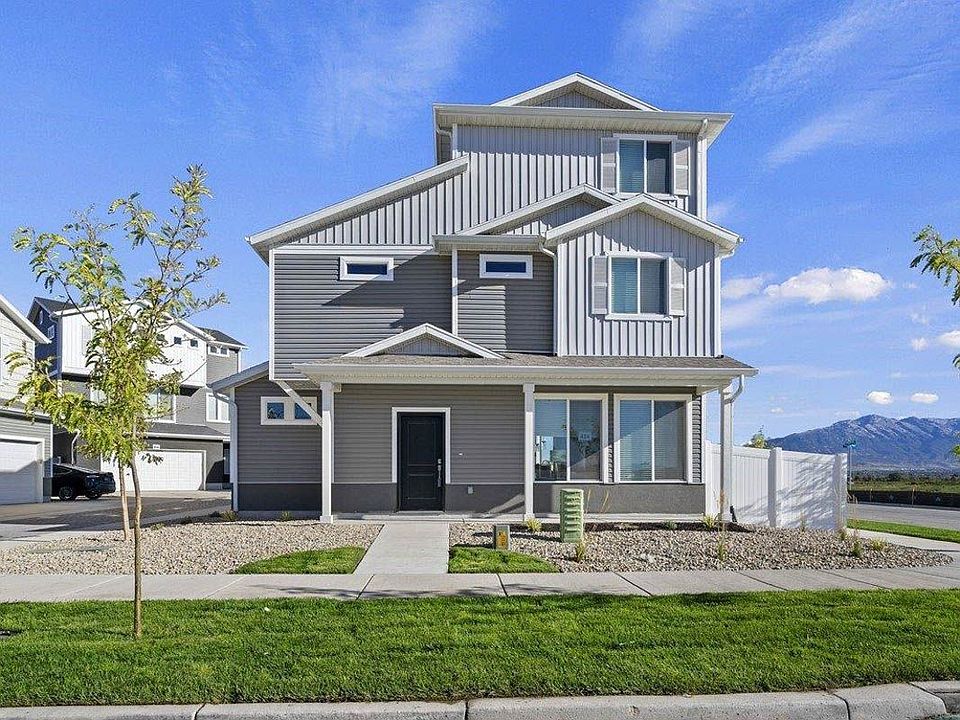 A View of the Friesian