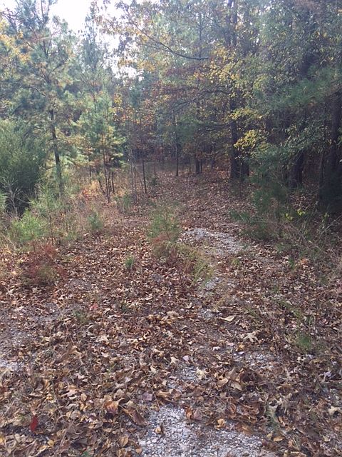 1st image of 5185 Black Hwy
