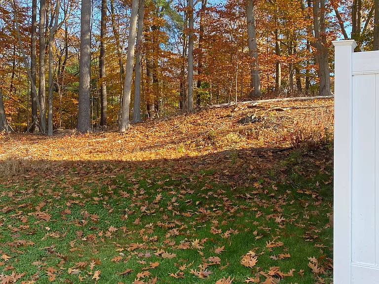 outdoor space