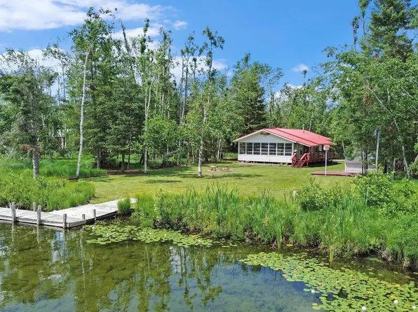 8717 Caulkins Lake Rd, Johannesburg, MI 49751