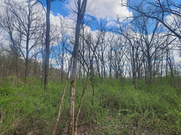LOT 1 Elizabeth St, Muscoda, WI 53573