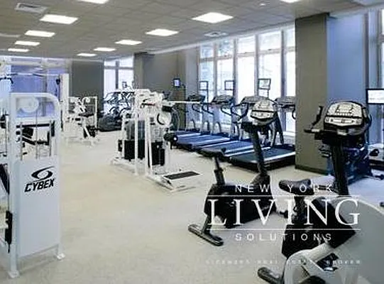 Rented by NY Living Solutions | media 8