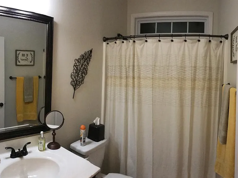 Downstairs guest bath