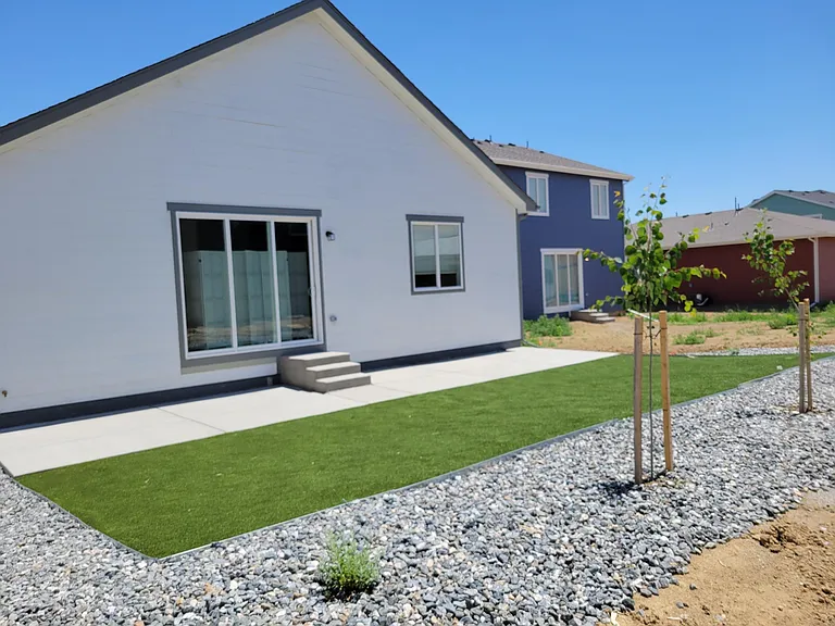 Back yard