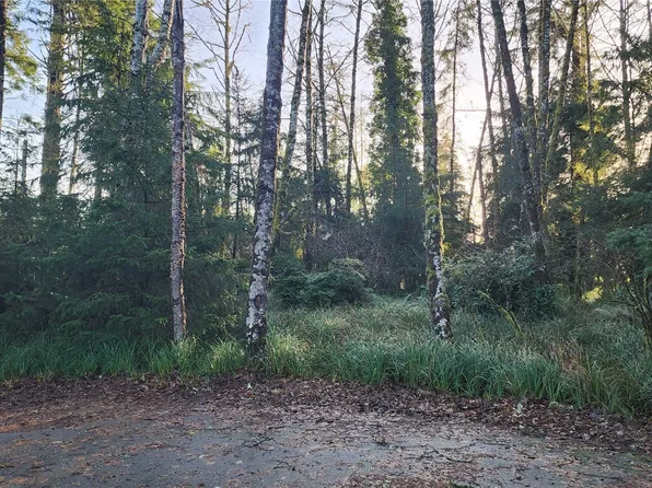 275 Pearsall Street SW, Ocean Shores, WA 98569