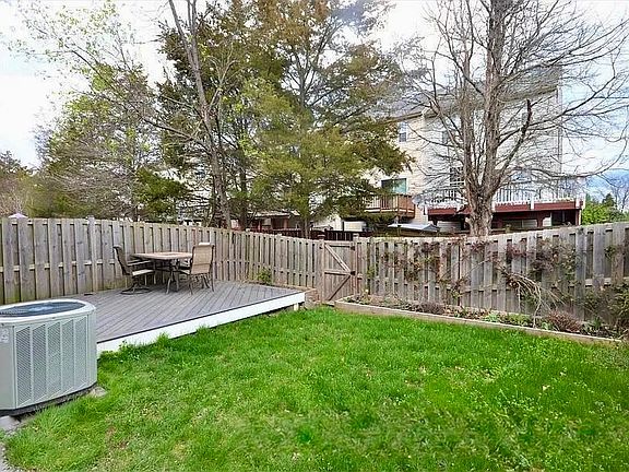 Back yard