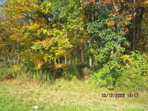 0 W Manning Ridge Rd, Campbell, NY 14821