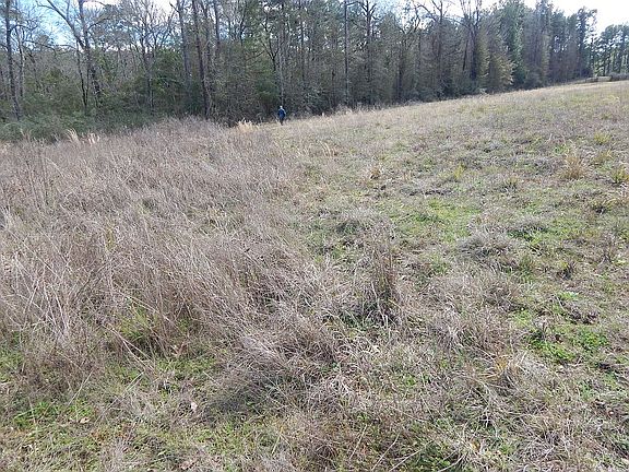 2nd image of 412 Johnson Rd
