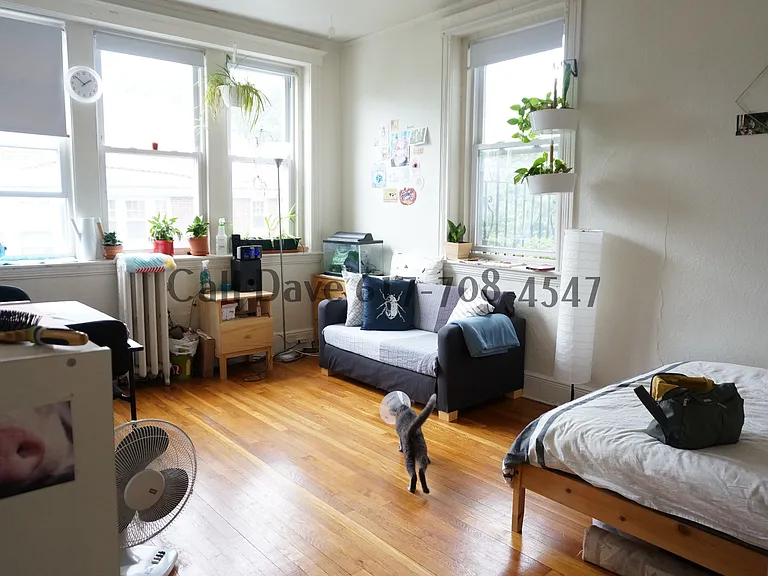 1800 Commonwealth Ave #14 — Photo 9