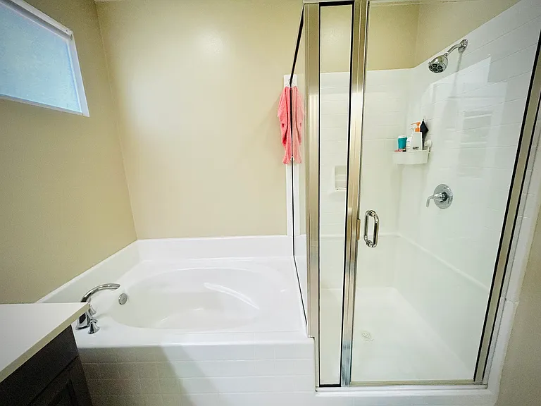 Master Bathroom Shower and Bathtub