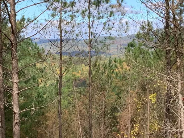 625 Loftis Mountain Rd, Blairsville, GA 30512