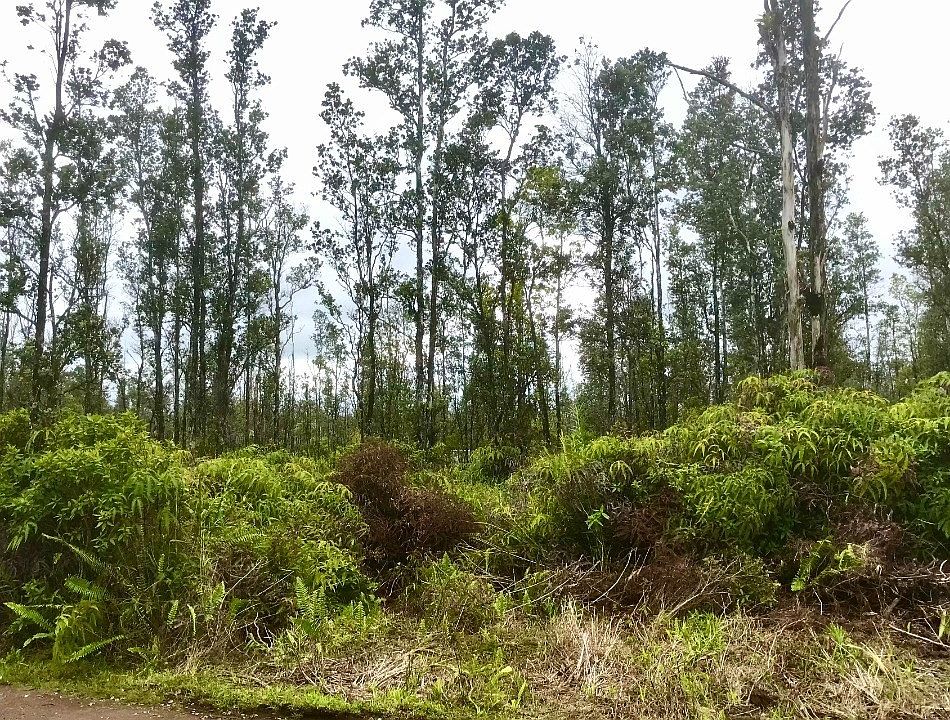 1st image of Road 9 Koloa Maoli Lot 5413
