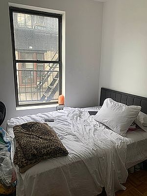 5th image of 365 Broome St APT 11A