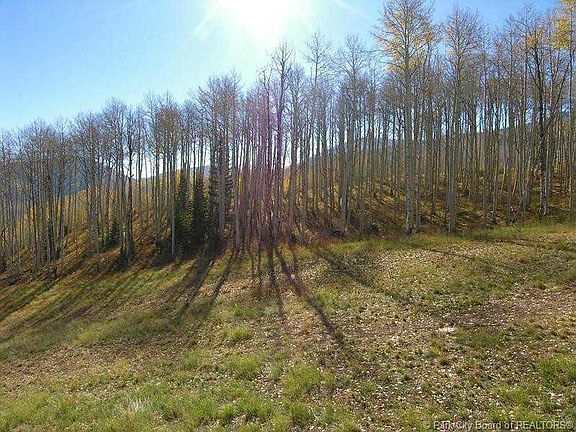 2nd image of 62 White Pine Cyn #66