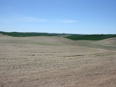 31 Golden Wheat Ln, Pullman, WA, 99163