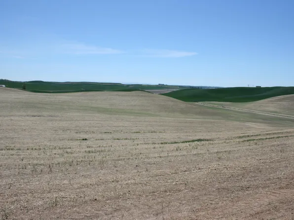 31 Golden Wheat Ln, Pullman, WA 99163