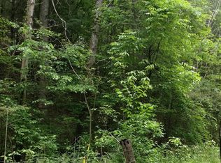 0 Waldens Creek Rd LOT 1, Sevierville, TN 37862
