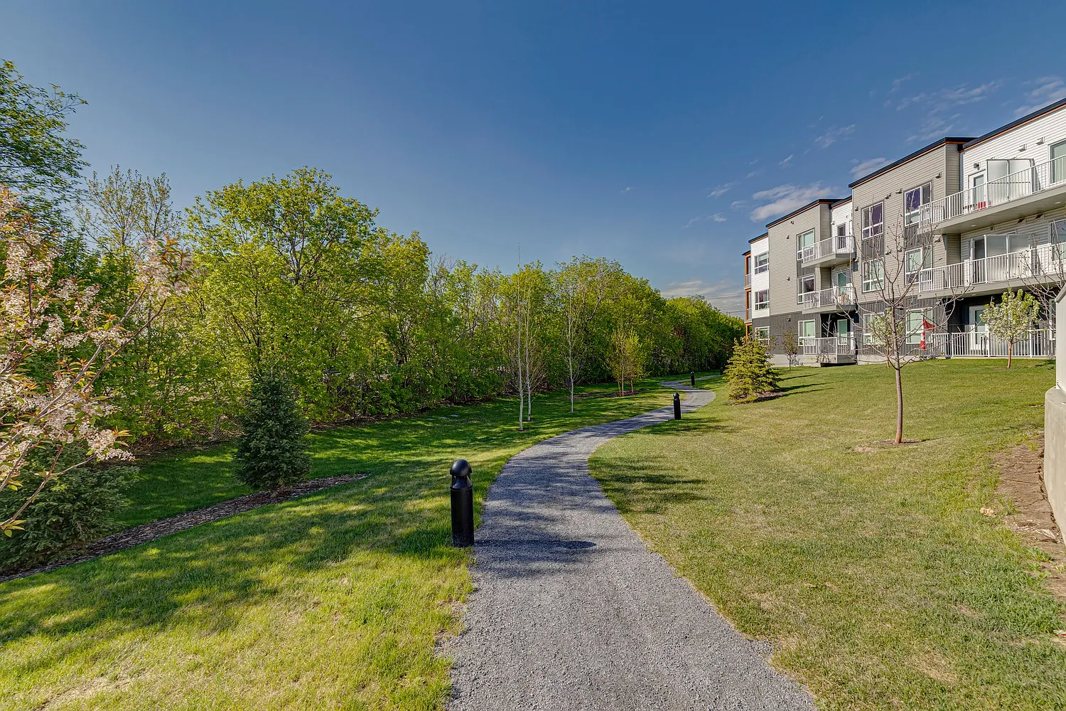 Bright! Main Floor 1 Bedroom Condo in the KONEKT building near Inglewood! — Photo 3