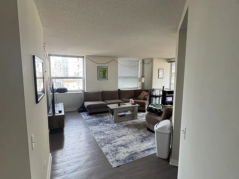545 N Dearborn St #1307 — Photo 2