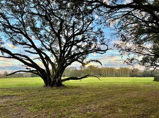 LOT 6 SW 15th Ave LOT 6, Newberry, FL 32669