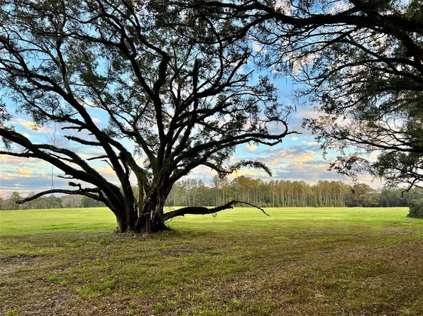 Lot 6 SW 15TH AVENUE LOT 6, NEWBERRY, FL 32669