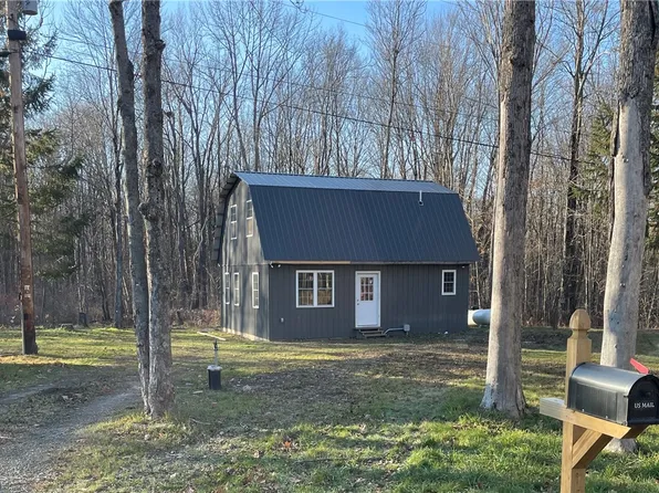 10315 Blakley Rd, Swain, NY 14884