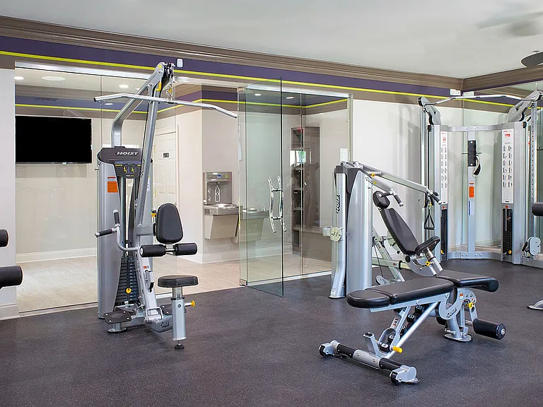 gym web