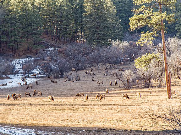 5th image of 25203 W Us Highway 160