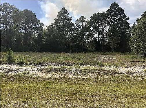 3rd image of 347 Gramercy Plantation Blvd