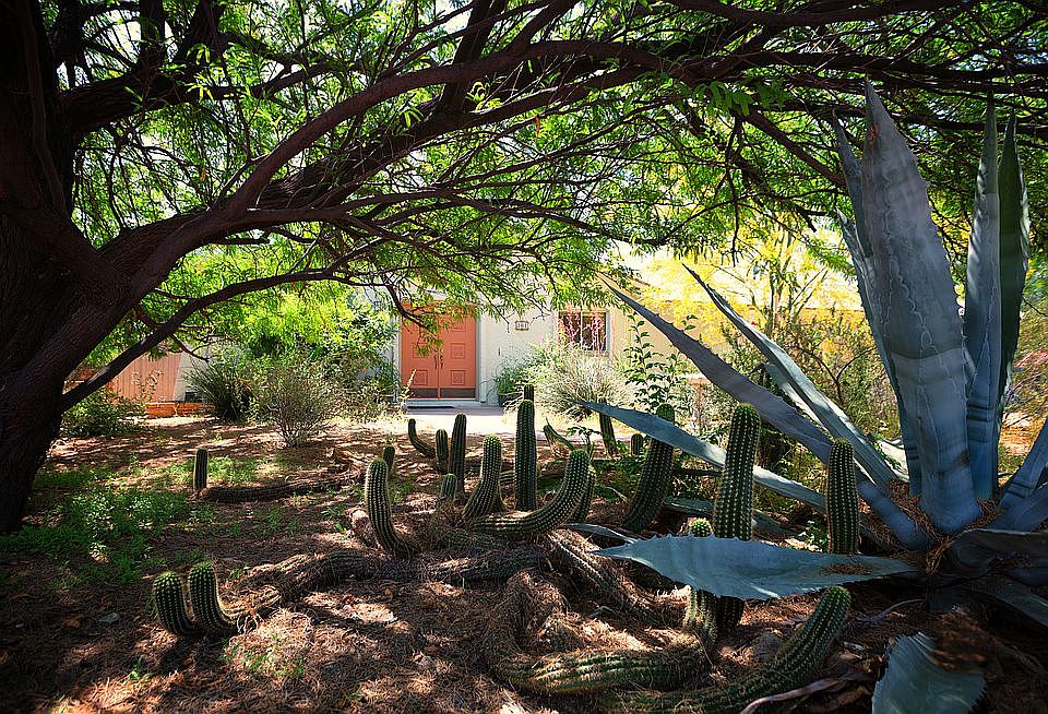 Front yard.