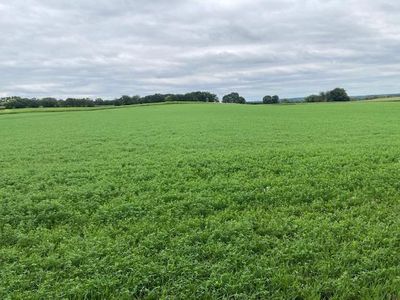 L1 County Road J, Green Lake, WI, 54941