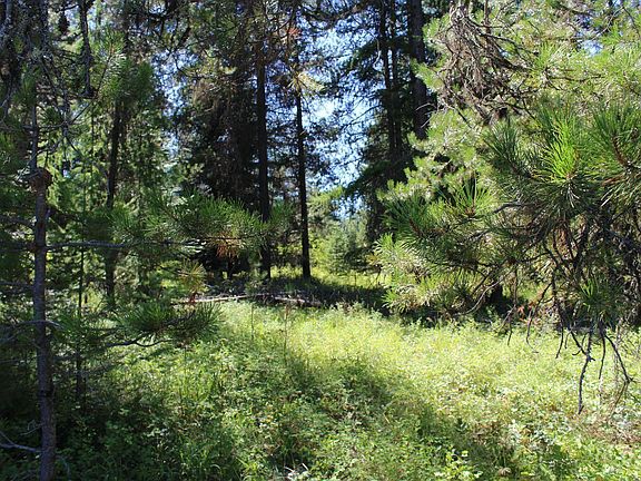 2nd image of Nhn Marten Creek Rd