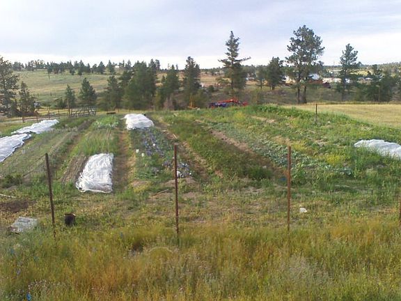 Used to be garden w/in fence